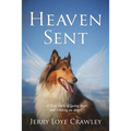 Heaven Sent: A True Story of Losing Hope and Finding an Angel