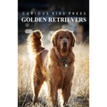 Golden Retrievers - Curious Kids Press: Kids book about animals and wildlife, Children's books 4-6