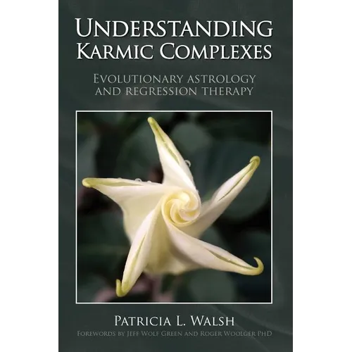 Understanding Karmic Complexes