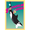 Spectacular Nature: Corporate Culture and the Sea World Experience