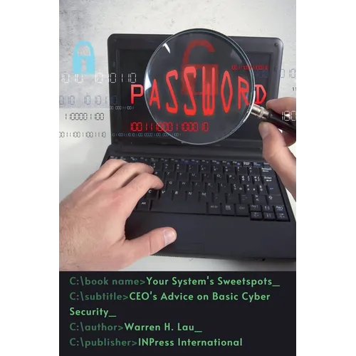 Your System's Sweetspots: CEO's Advice on Basic Cyber Security