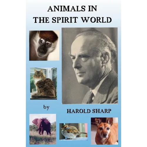 Animals in the Spirit World
