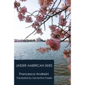 Under American Skies