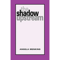 The Shadow Upstream