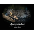 Awakening Awe: An Illustrated Journey to Reverence