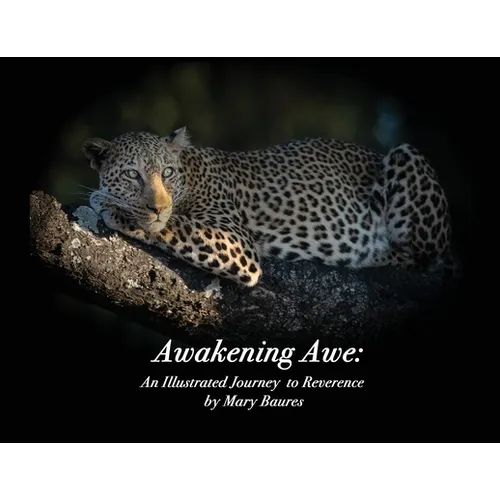Awakening Awe: An Illustrated Journey to Reverence