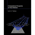 A Computational Perspective on Visual Attention