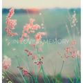 Condolence book for funeral (Hardcover): Memory book, comments book, condolence book for funeral, remembrance, celebration of life, in loving memory f