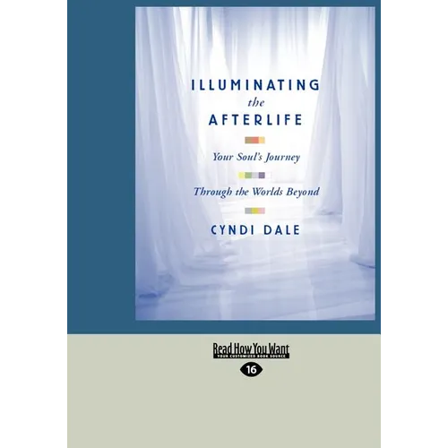 Illuminating the Afterlife: Your Soul's Journey Through the Worlds Beyond (Easyread Large Edition)