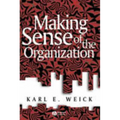 Making Sense of the Organization