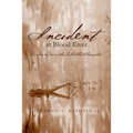 Incident at Blood River: A Novel from the deMelilla Chronicles
