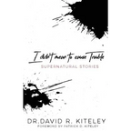 I Didn't Mean To Cause Trouble: Supernatural Stories - Paperback