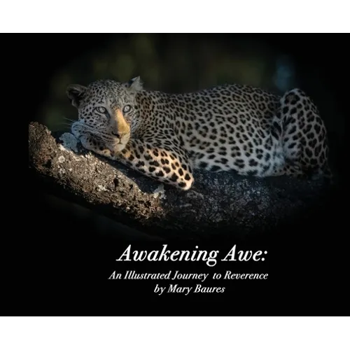 Awakening Awe: An Illustrated Journey to Reverence