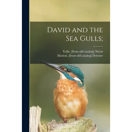David and the Sea Gulls;
