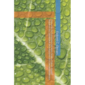 Payments for Ecosystem Services: Scaling Nature-Based Solutions for Sustainable Development and Climate Resilience