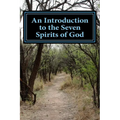 An Introduction to the Seven Spirits of God: Friends you need for the journey of your life