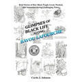 Glimpses of Black Life Along Bayou Lafourche: Brief Stories of How Black People Lived, Worked, and Succeeded During Challenging Times