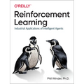 Reinforcement Learning: Industrial Applications of Intelligent Agents
