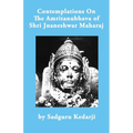 Contemplations On The Amritanubhava of Shri Jnaneshwar Maharaj
