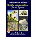 Learn How to Airbrush Reptiles and Amphibians For the Beginners