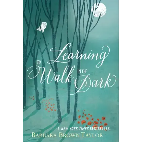 Learning to Walk in the Dark: Because Sometimes God Shows Up at Night