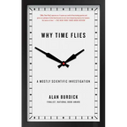 Why Time Flies - Paperback