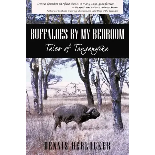 Buffaloes by My Bedroom