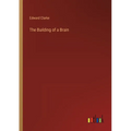 The Building of a Brain