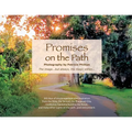 Promises On the Path