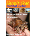 Hermit Crab Habitat Setup: Hermit Crab care and Habitat Set-up
