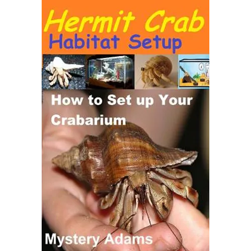 Hermit Crab Habitat Setup: Hermit Crab care and Habitat Set-up