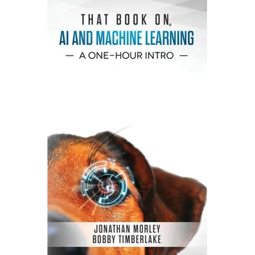 That Book on AI and Machine Learning: A One-Hour Intro