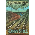 Chinaberry