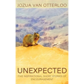 Unexpected: Five Inspirational Short Stories of Encouragement