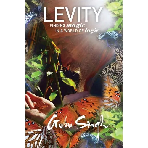 Levity: Finding Magic in a World of Logic