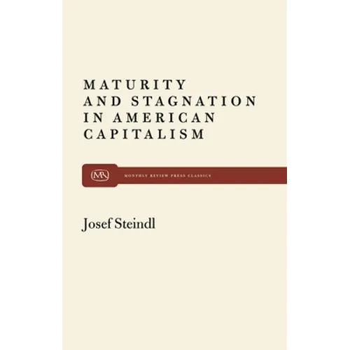 Maturity and Stagnation in American Capitalism