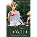Dear David: A Mother's Letters to Heaven