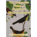 The Composite Plates of Audubon's Birds of America