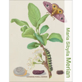 Maria Sibylla Merian