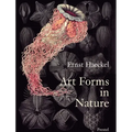 Art Forms in Nature: The Prints of Ernst Haeckel