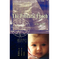 The Prenatal Epoch