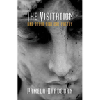 The Visitation and Other Biblical Poetry