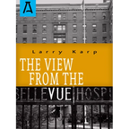 The View from the Vue