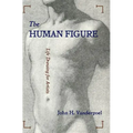 The Human Figure