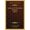 Anatomy Of The Indian Elephant (1878)