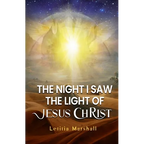 The Night I Saw the Light of Jesus Christ - Paperback