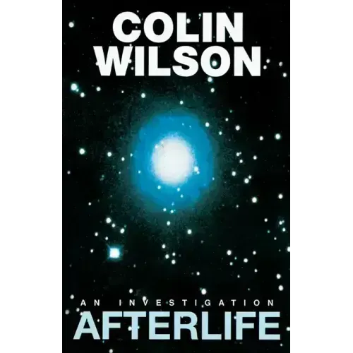 Afterlife: An Investigation