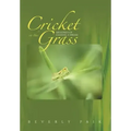 Cricket in the Grass: Memories of Chasing a Dream