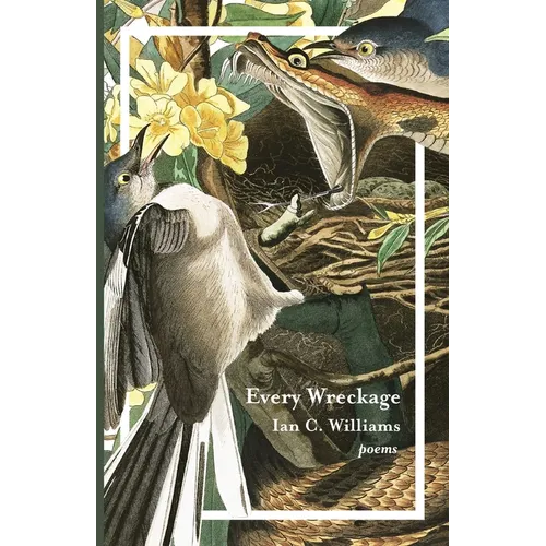 Every Wreckage: Poems