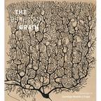 The Beautiful Brain: The Drawings of Santiago Ramon Y Cajal